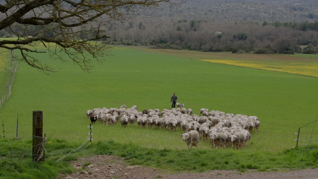 Agroécologie à Egalières (Larzac)