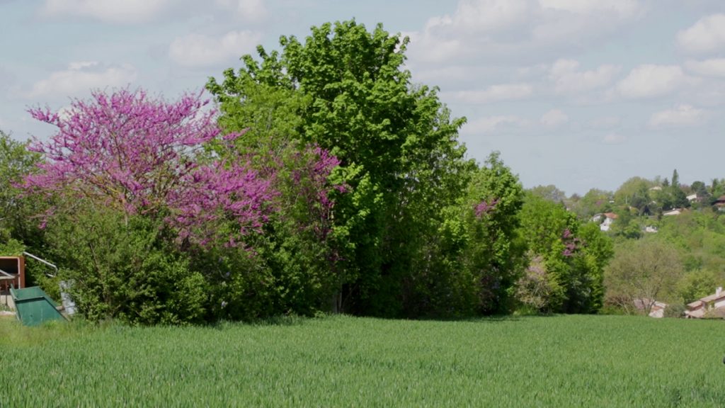 Infrastructure agroécologique