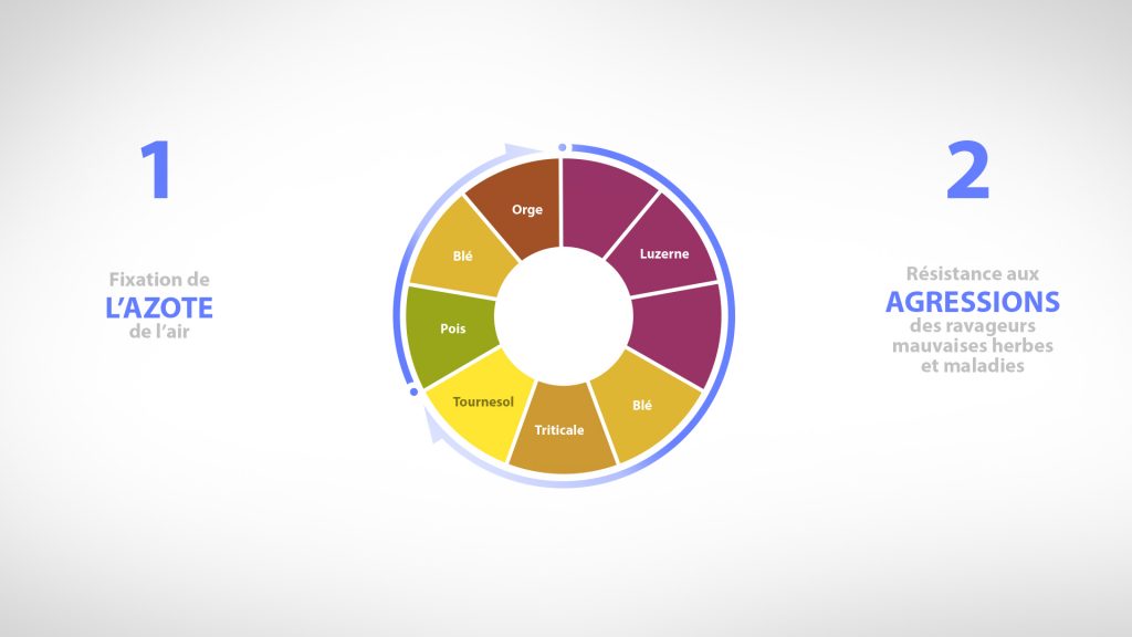 Rotation des cultures