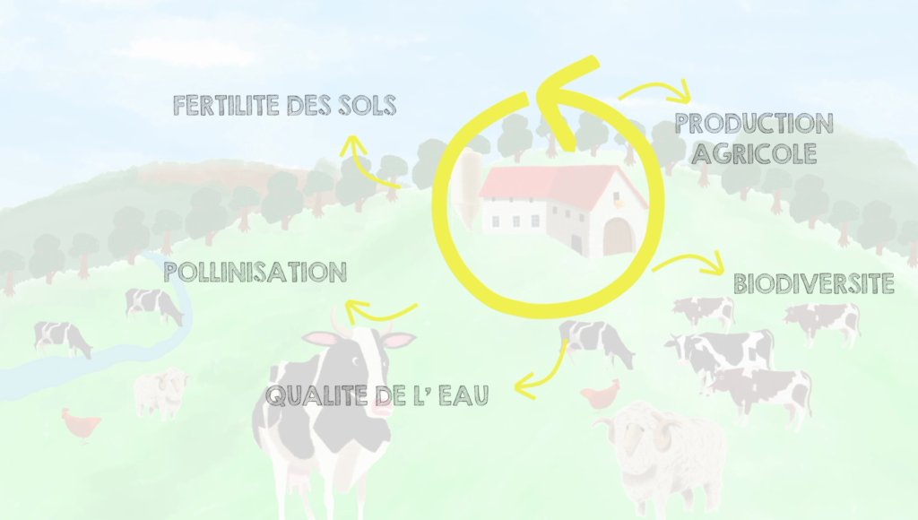 Santé Agroécosystème