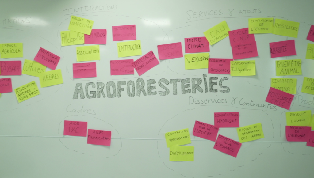 Agroforesterie