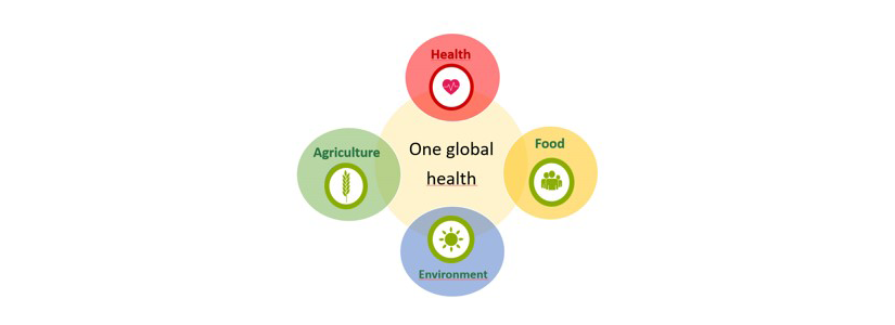 This diagram illustrates the elements taken into account in the One Global Health concept: health, food, agriculture, environme