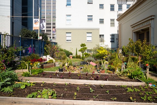Agriculture urbaine