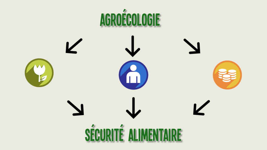 Sécurite alimentaire