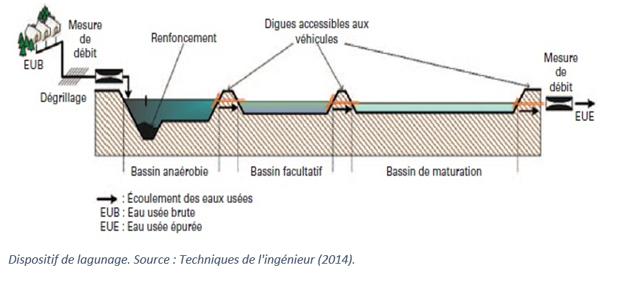 Cette figure représente le processus d’épuration des eaux usées qu'est le Lagunage au travers d'une succession de bassins d'épuration