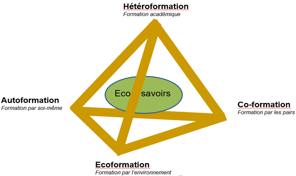 Ecosavoirs