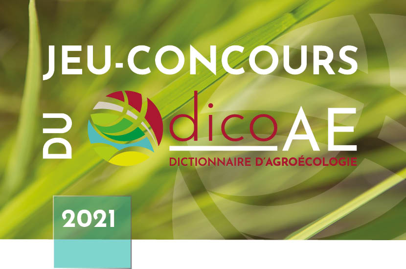 Jeu concours dicoAE 2021