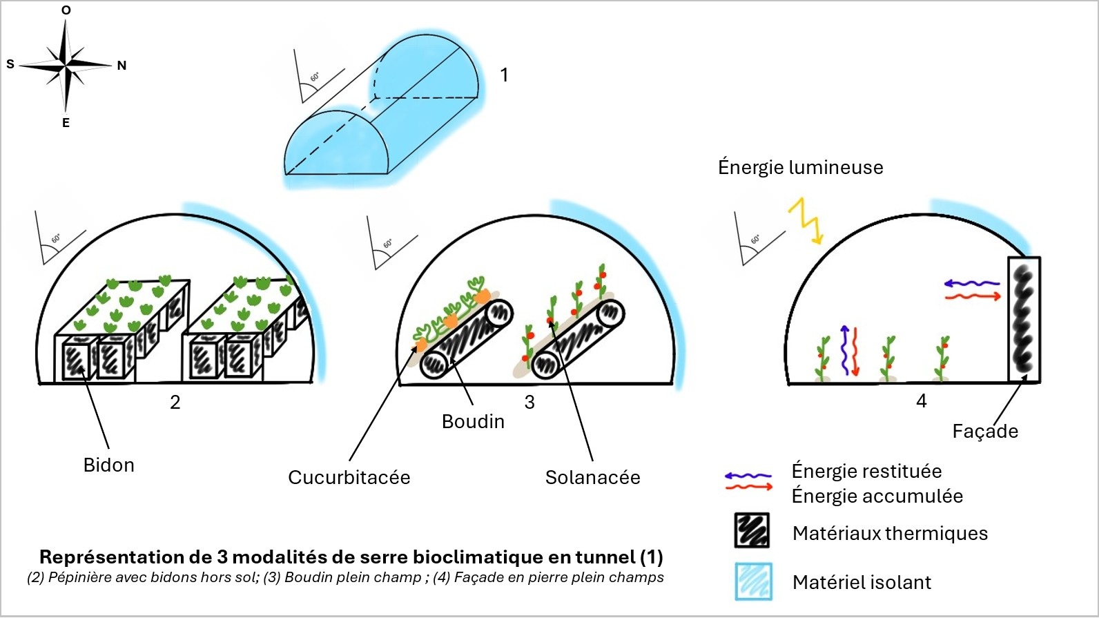 Représentation de trois modalités de serre bioclimatique en tunnel : pépinière avec bidons hors sol ; boudin plein champ ; façade e pierre plein champs