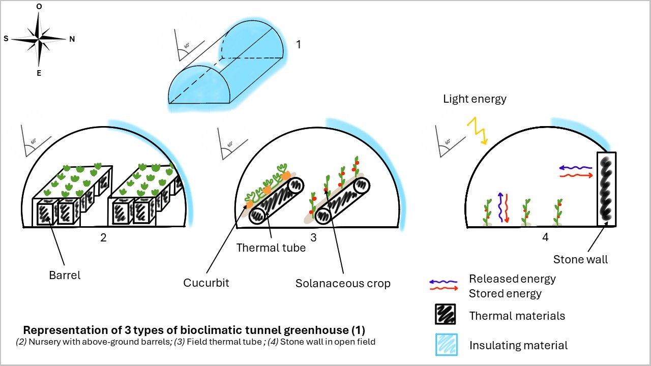 Representation of 3 types of bioclimatic tunnel greenhouse : Nursery with above-ground barrels; Field thermal tube ; Stone wall in open field
