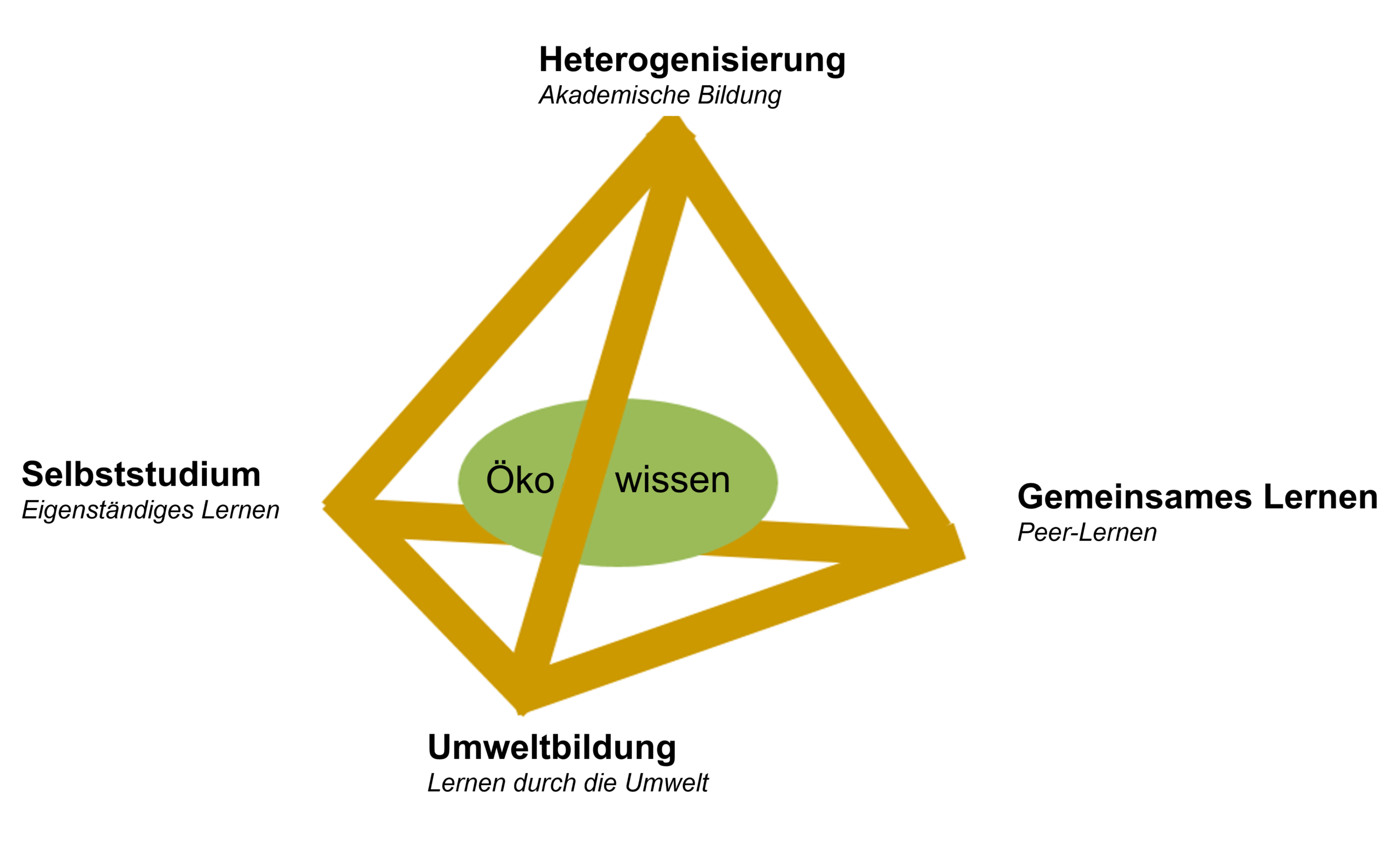 Ökowissen findet sein Gleichgewicht speziell zwischen Öko-Auto-Ko-Formationen. Copyright: Javelle A, Moneyron A, 2021