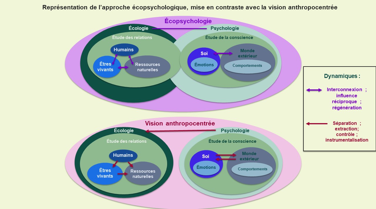 Représentation de l’approche écopsychologique, mise en contraste avec la vision anthropocentrée.